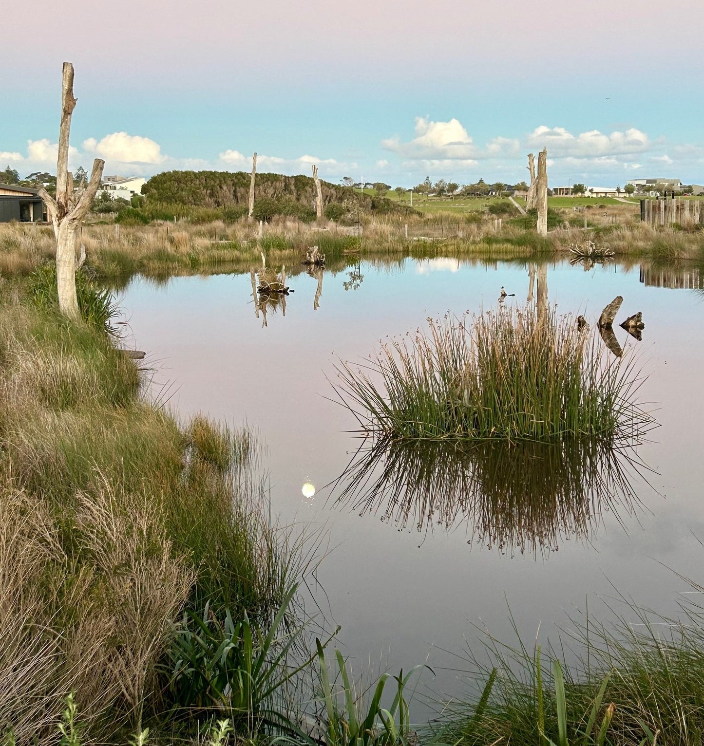 Sustainability Design and Living  Masterclasses