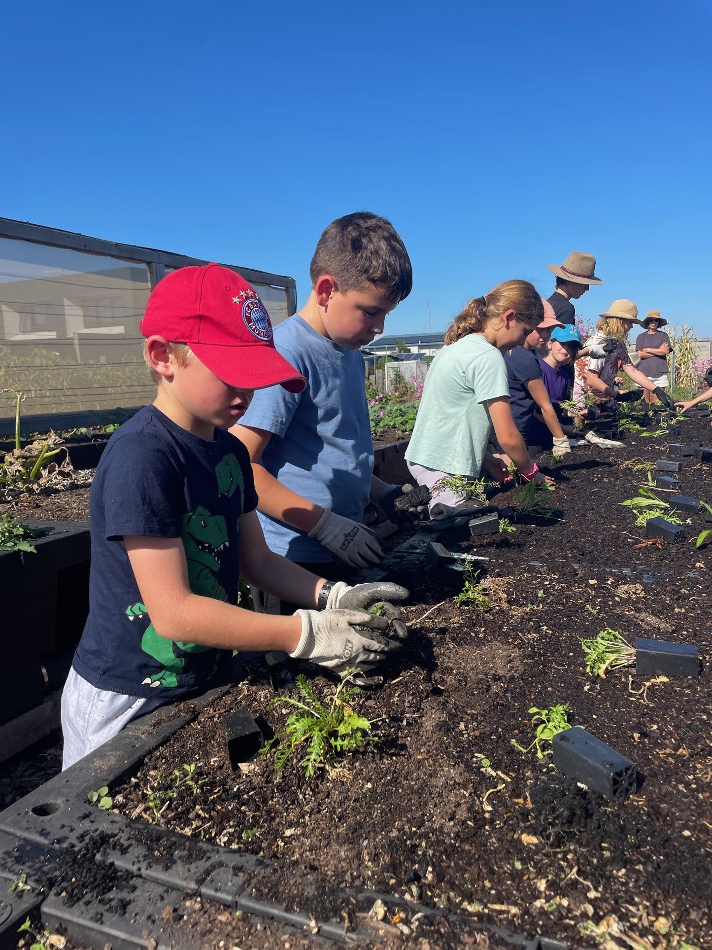 Farmer For A Day