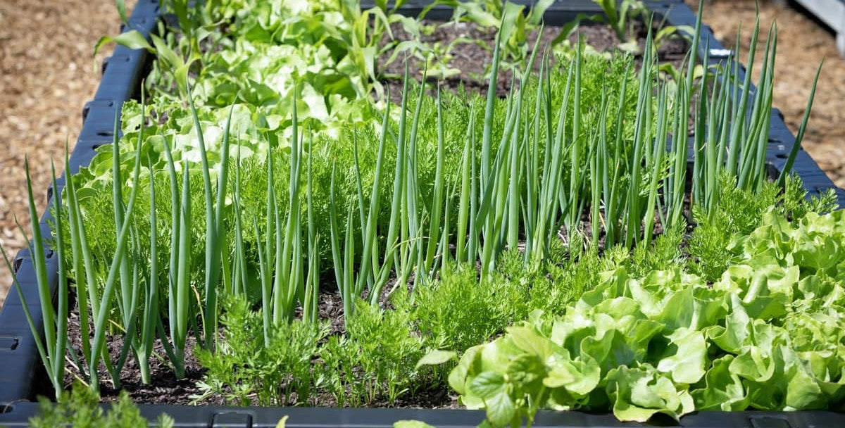 Farm Stay at The Cape