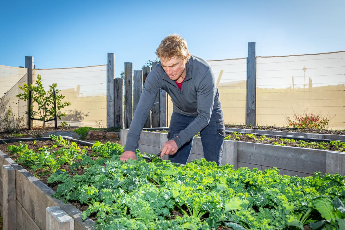 Sustainable Communities