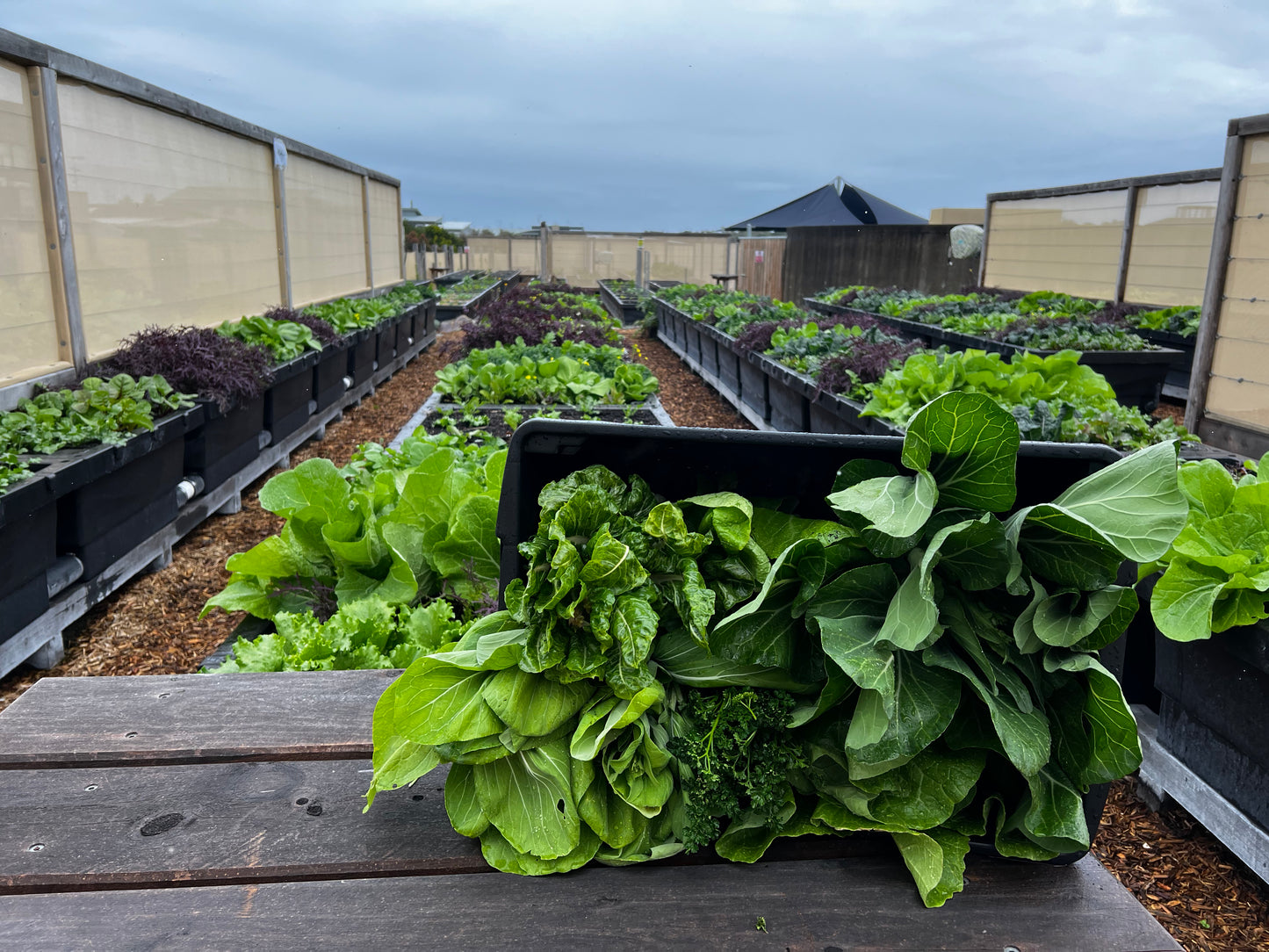 Farm Stay at The Cape